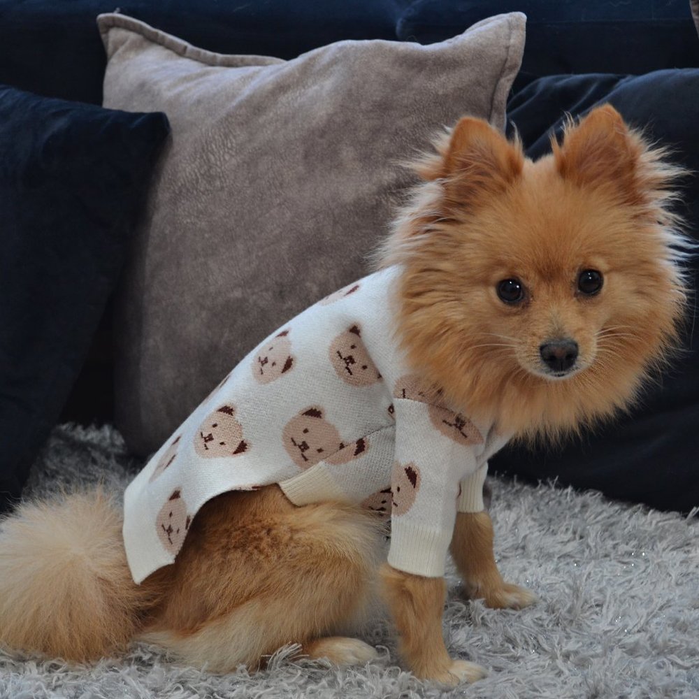 Dog Sweater Grey with Teddy bear Print / Small Dog Sweater / Spring Sweater